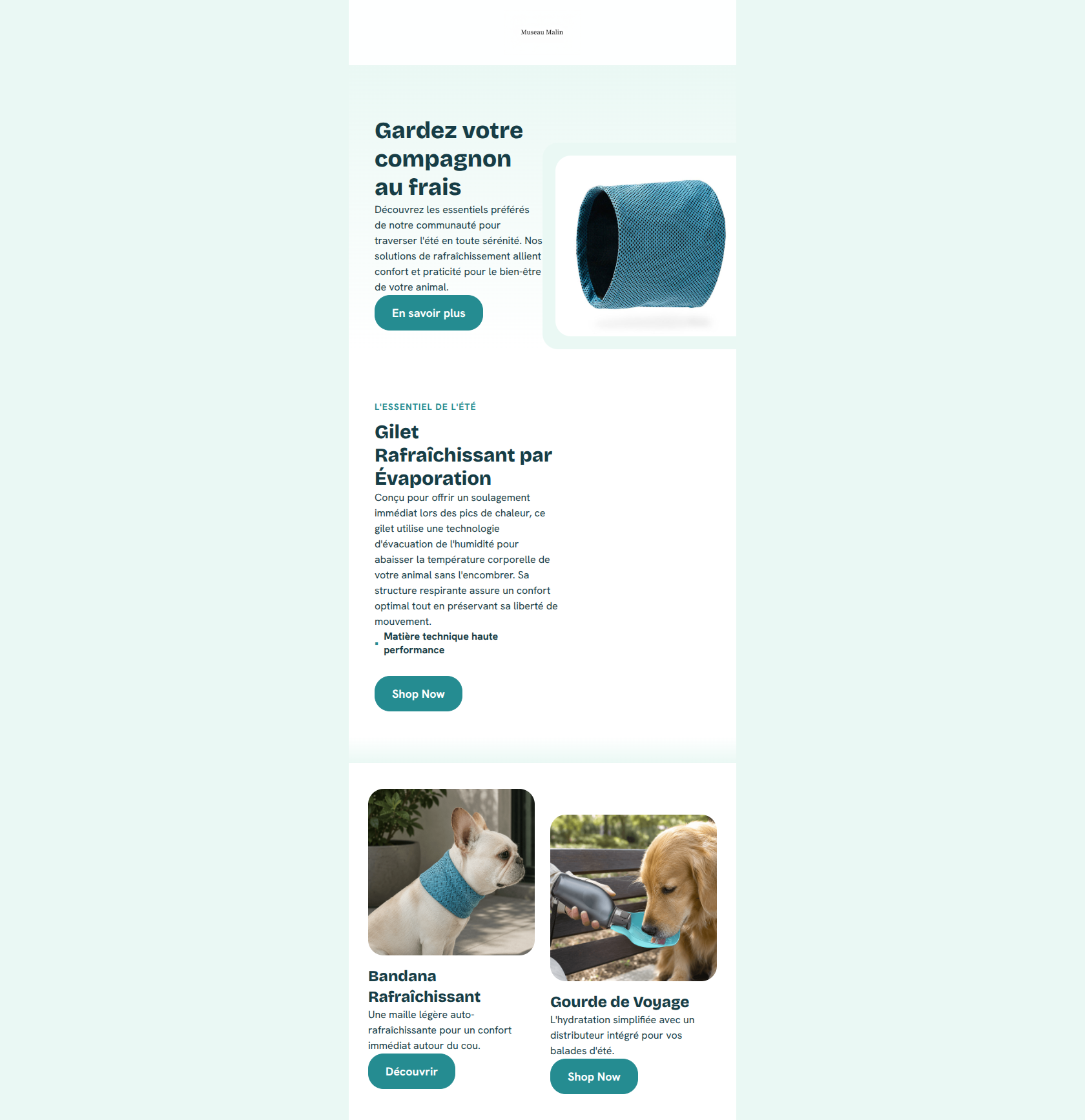 Email design: Starter: Social proof bestsellers — welcome starte