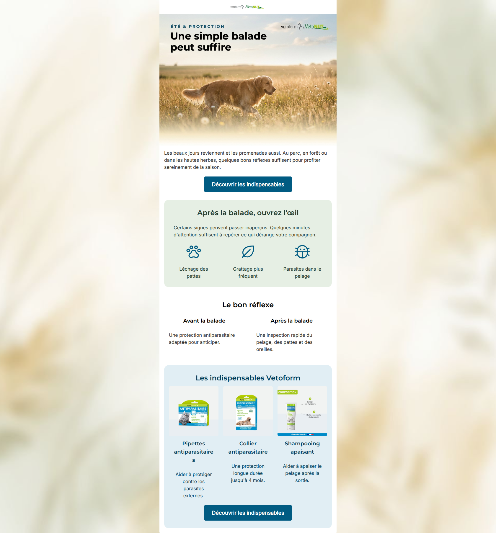 Email design: Une simple balade peut suffire (Clone)