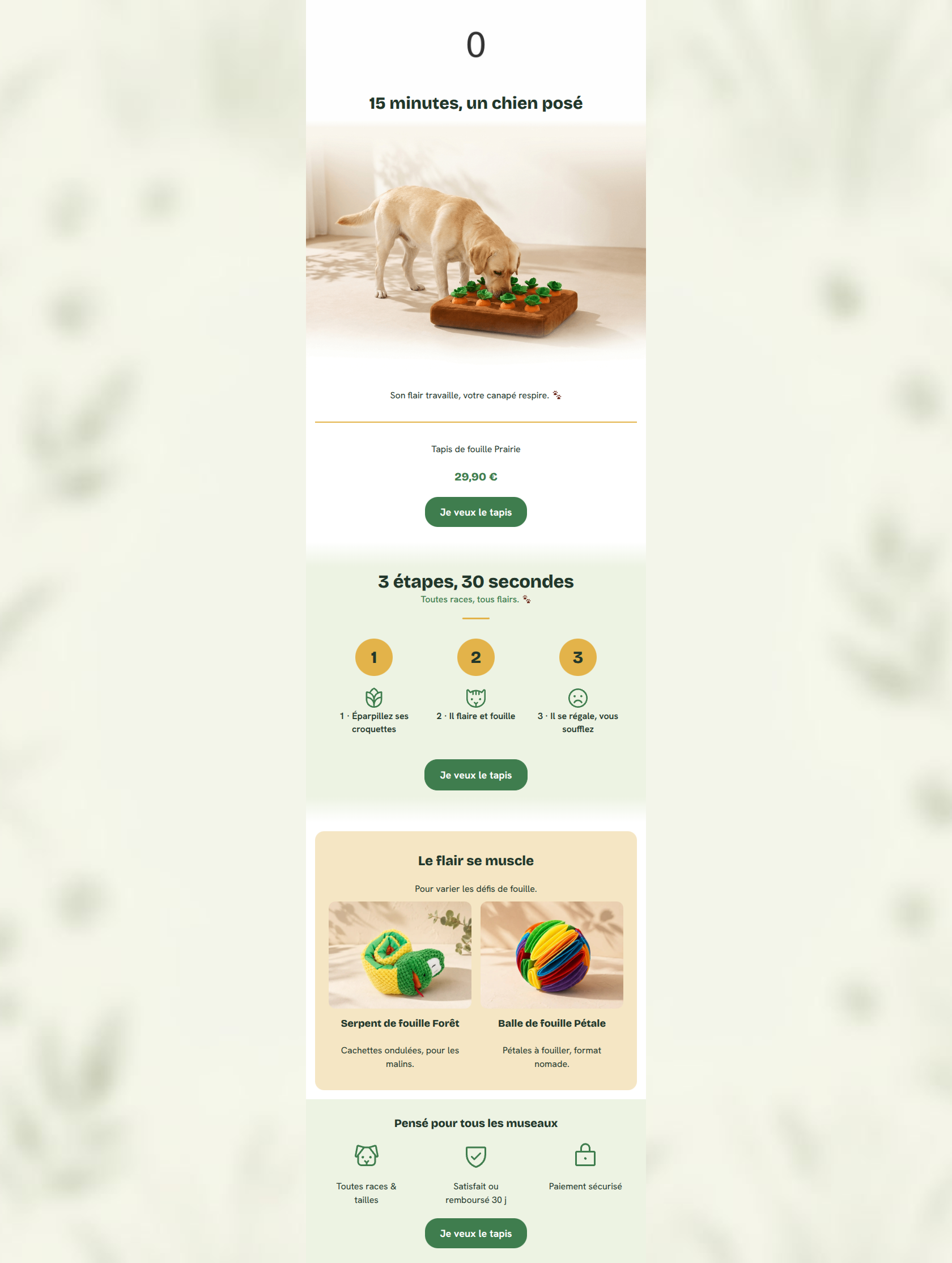 Email design: Son museau va adorer, votre canapé aussi 🐾