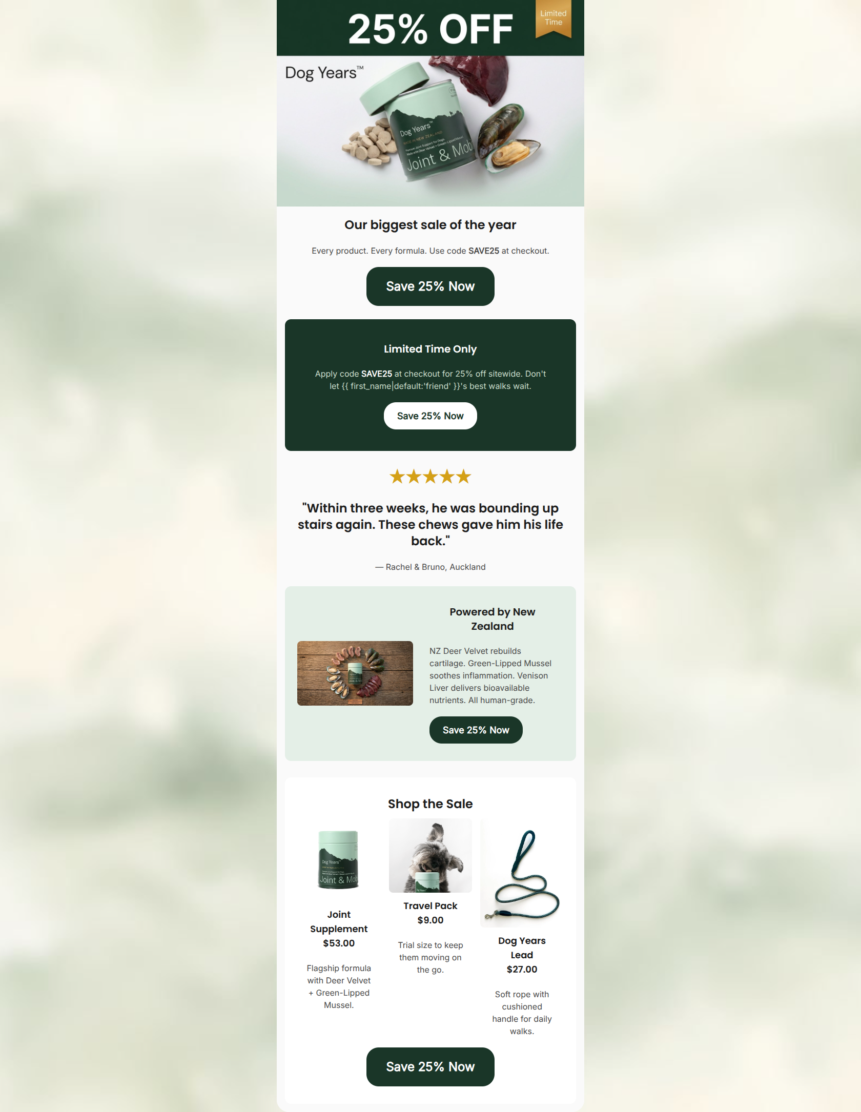 Email design: 25% off — their best walks await