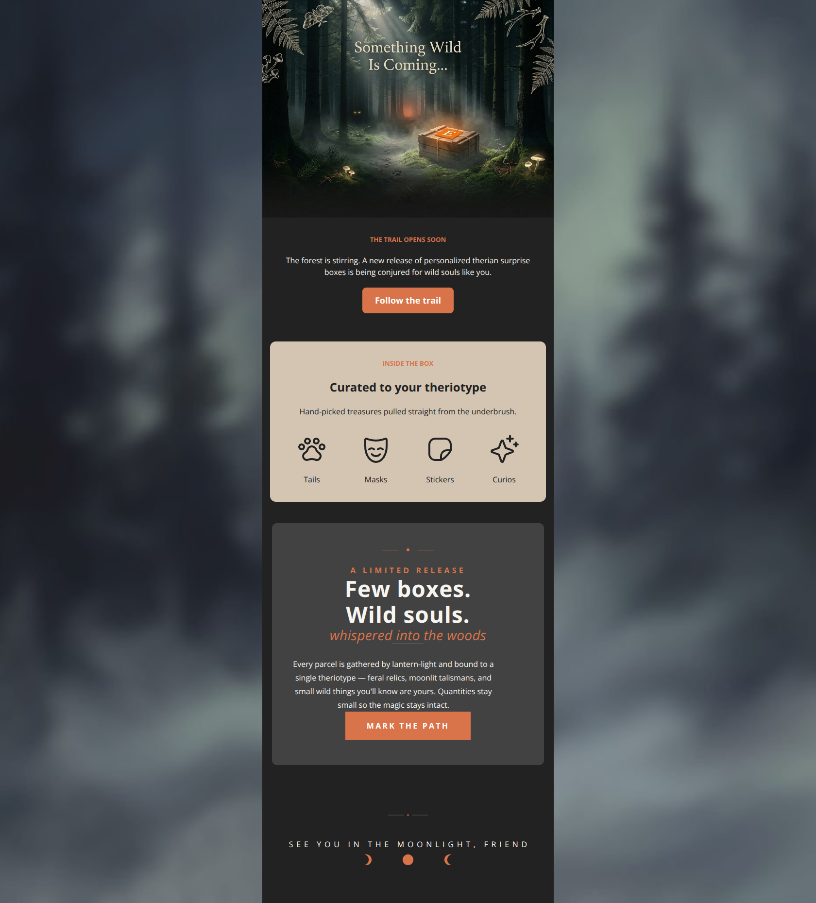 Email design: Something Wild Is Coming…