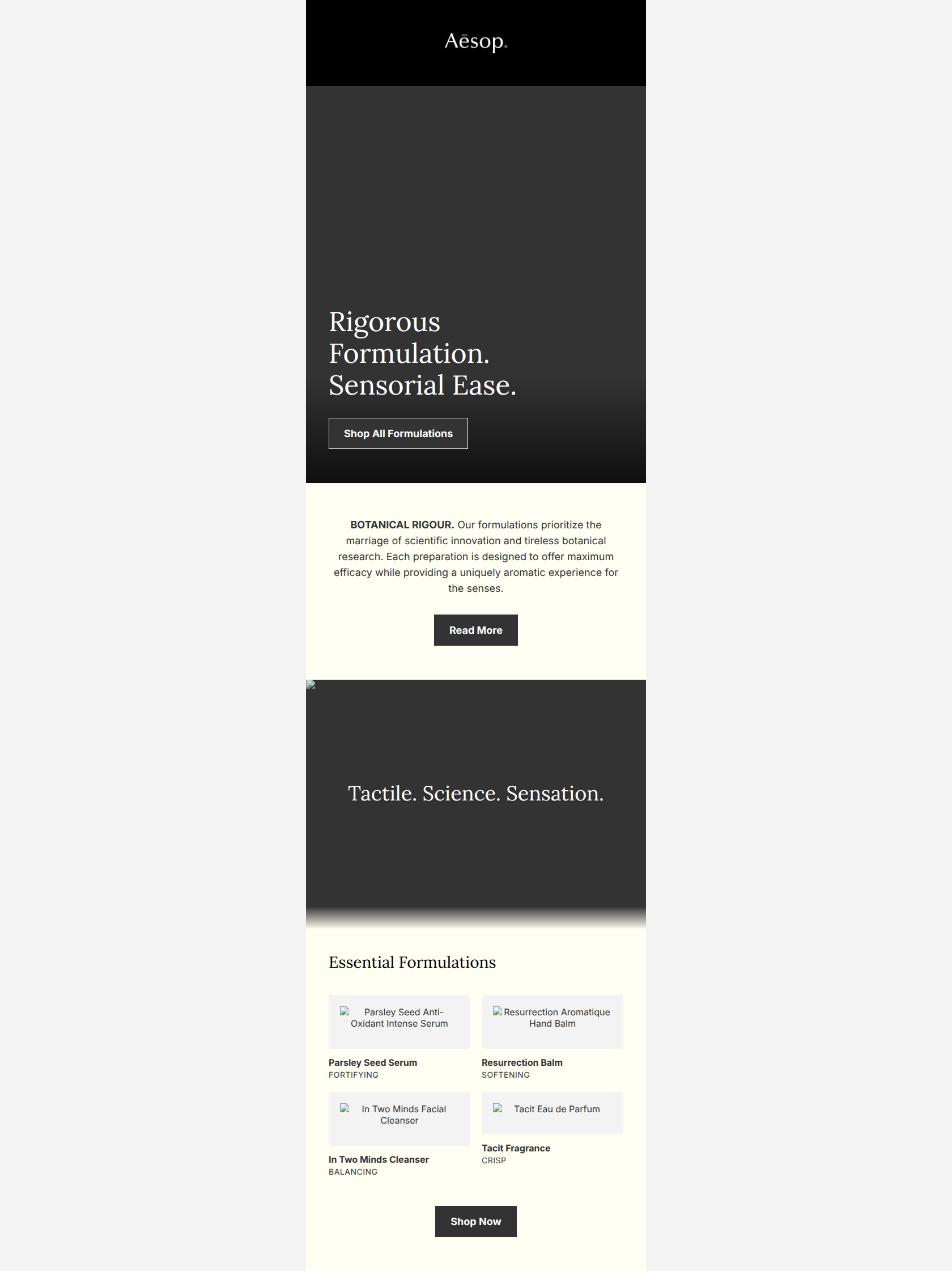 Email design: Starter: Editorial brand story — welcome starter t